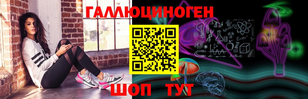 Камышин  Галлюциногенные грибы ЛСД  Вход с VPN  Галлюциногенные грибы мухоморы 